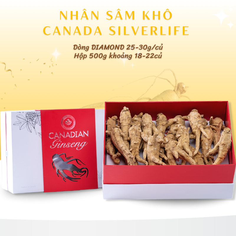 Nhân Sâm Canada SilverLife Nguyên Củ Diamond Hộp 500g