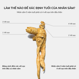 Ảnh 7