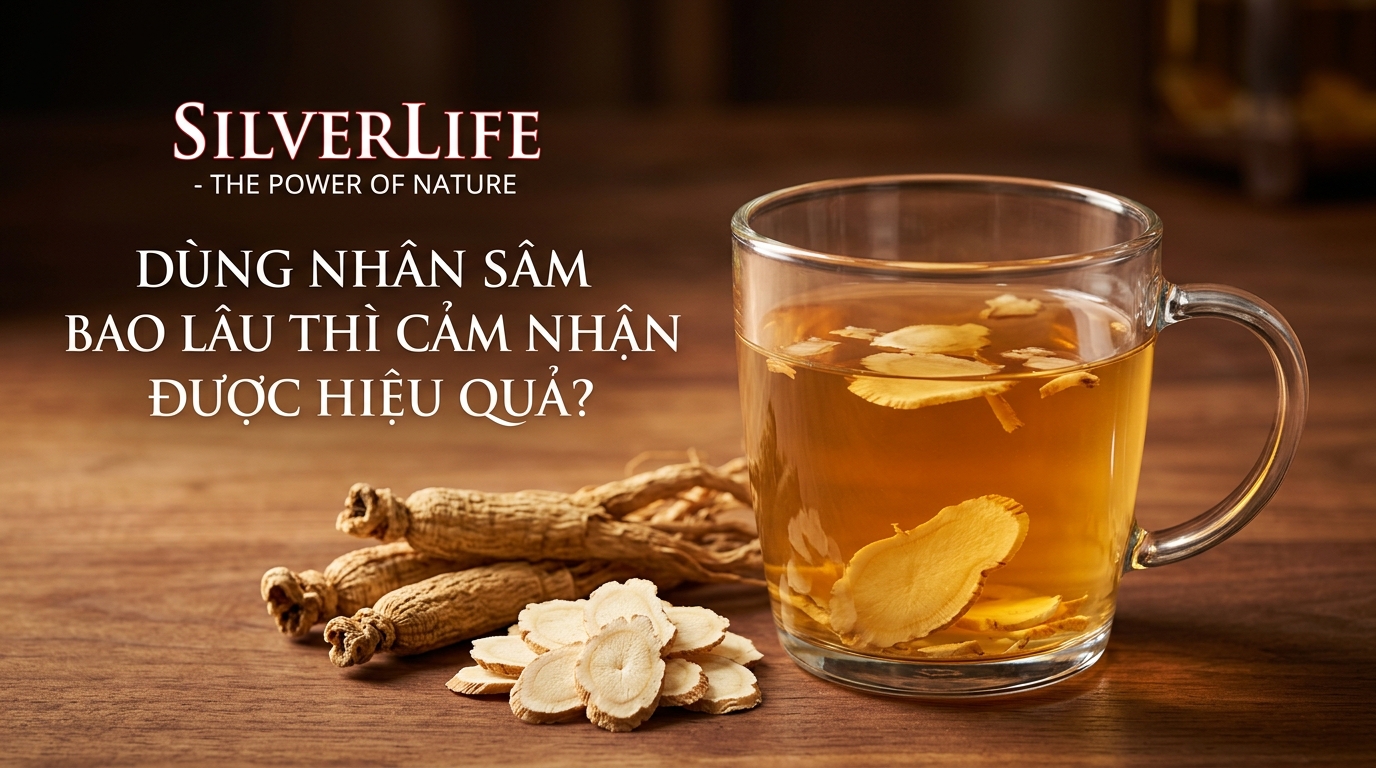 Hỏi Đáp cùng SilverLife